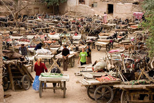 "Donkey cart parking " Kashgar, Xinjiang , China