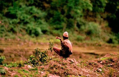 kid on the road image
