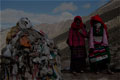 go to "Pilgrims woking around the kora" Mount Kailash, Western Tibet